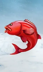 Ice Fishing